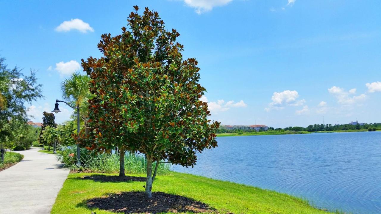Stunning Top-Floor Condo, Next To Clubhouse Орландо Екстер'єр фото